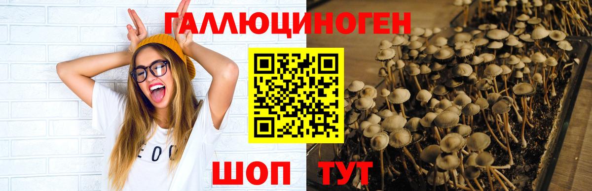 Галлюциногенные грибы MAGIC MUSHROOMS Абакан