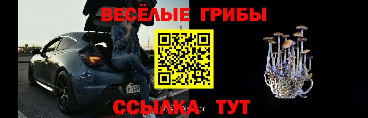 магазин    Вход с VPN  Абакан  Псилоцибиновые грибы Psilocybine cubensis 